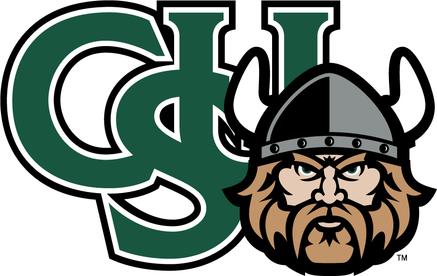 Cleveland State Vikings 2007-Pres Secondary Logo v3 iron on transfers for T-shirts